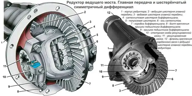 устройство заднего моста