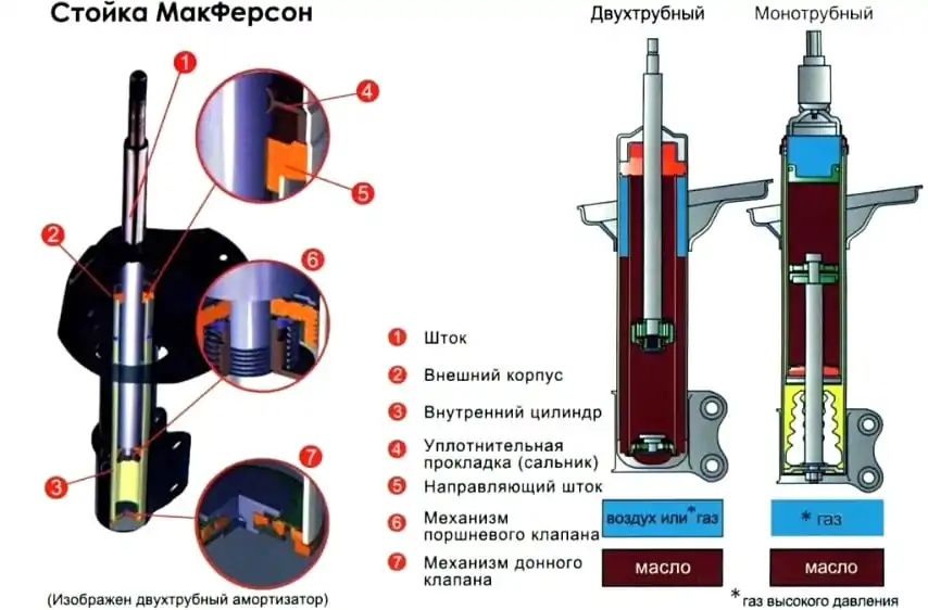 stoijka-makferson (1)