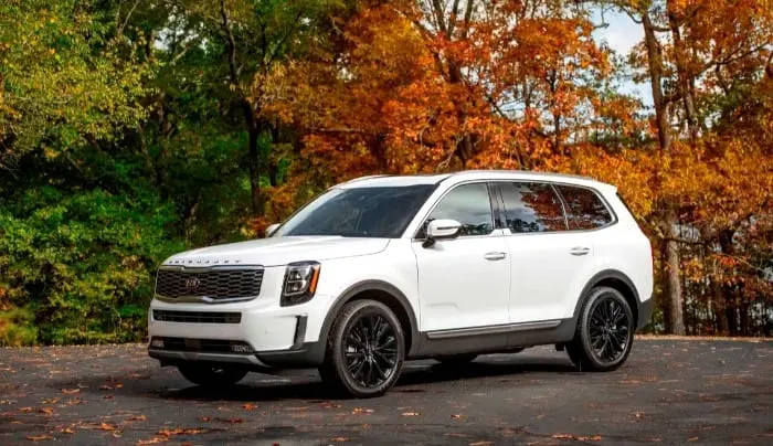 18Kia Telluride (1)