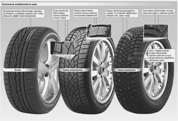 сезонность шин