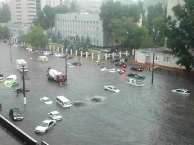 После дождливого лета на рынке можно попасть на «утопленника»