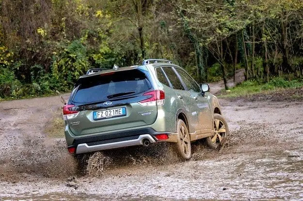 Тест драйв Subaru Forester e-Boxer: красота в симметрии