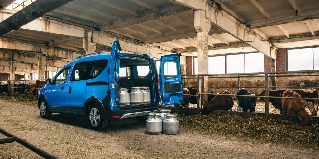 Тест-драйв Renault Dokker Stepway